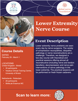 Lower Extremity Nerve Course