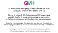 QVH 2nd Annual Microsurgery Prize Examination 2021
