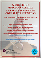 Whole Body Musculoskeletal Anatomy Sculpture Course for Surgeons